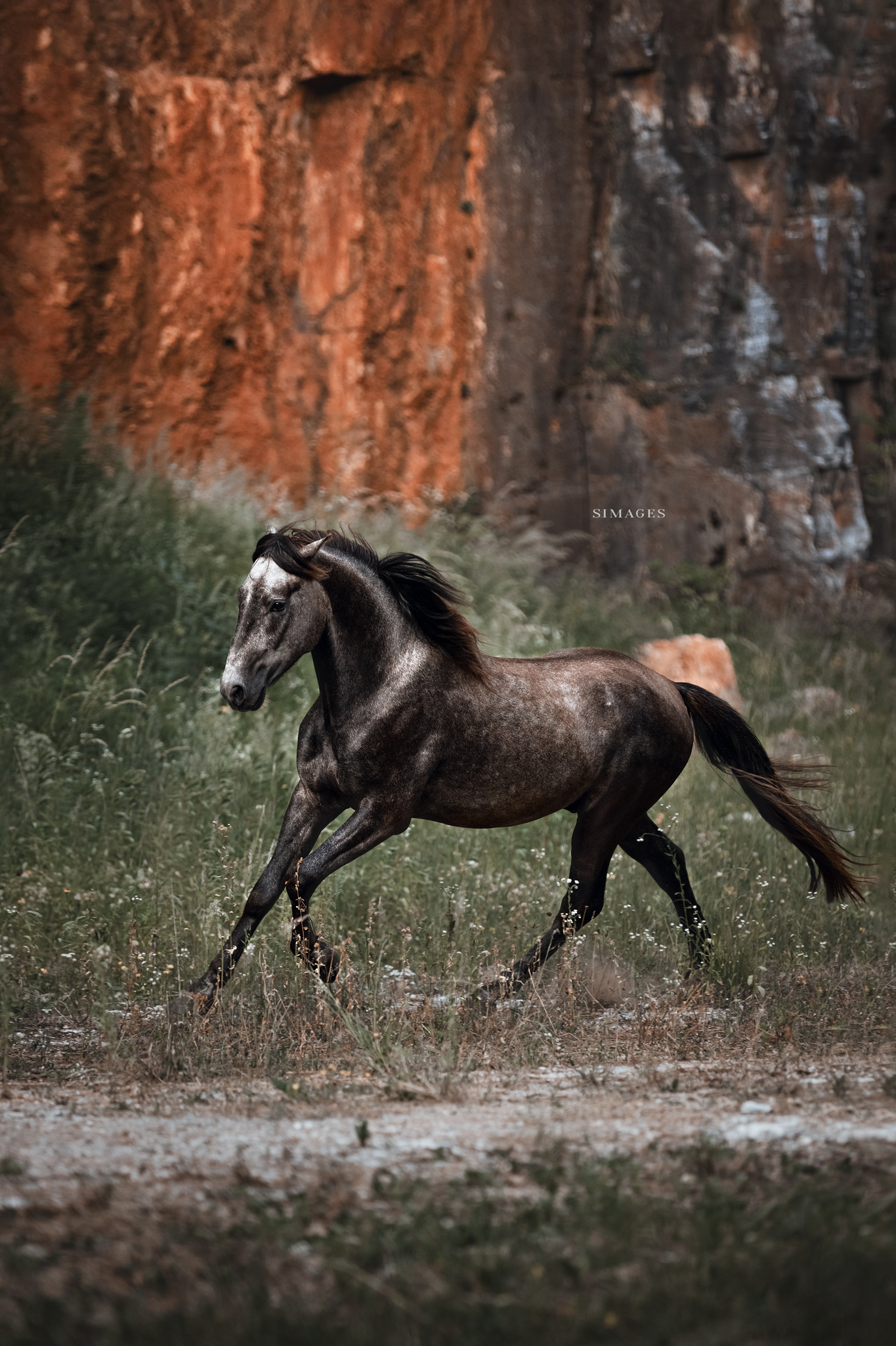 SIM64553-Bearbeitet_web