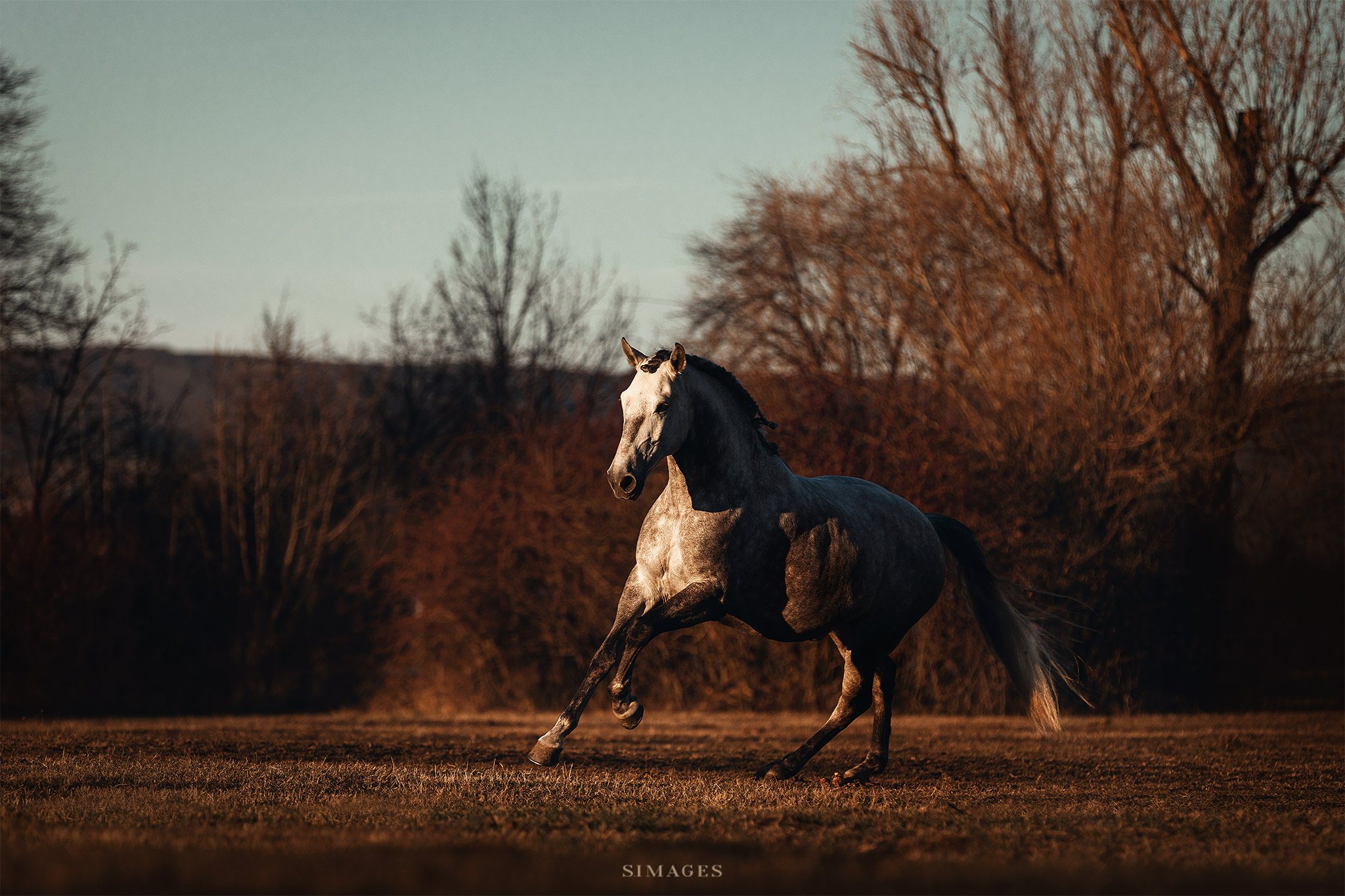  Angelika & Lessandro