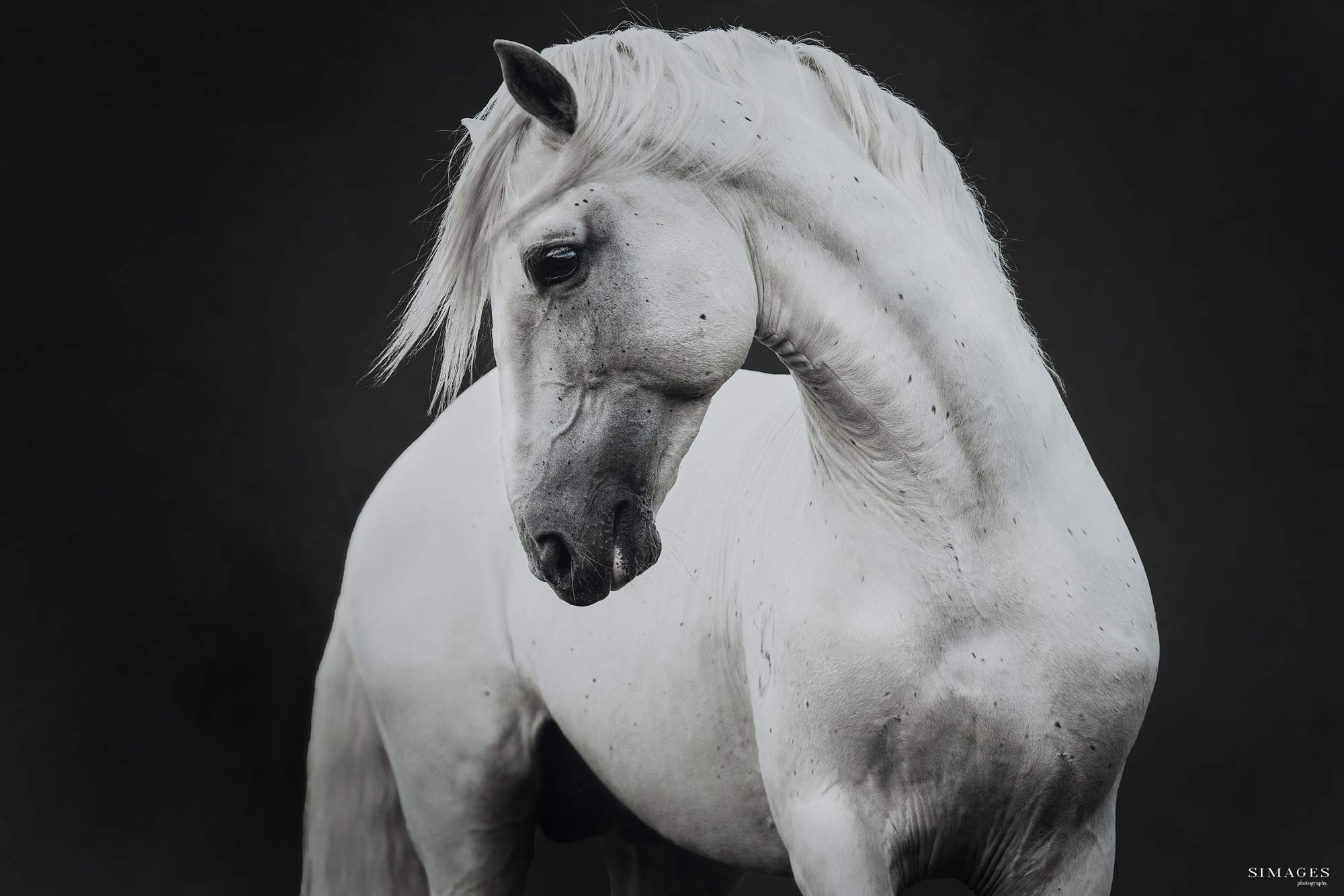 SIM_3229-Bearbeitet_web