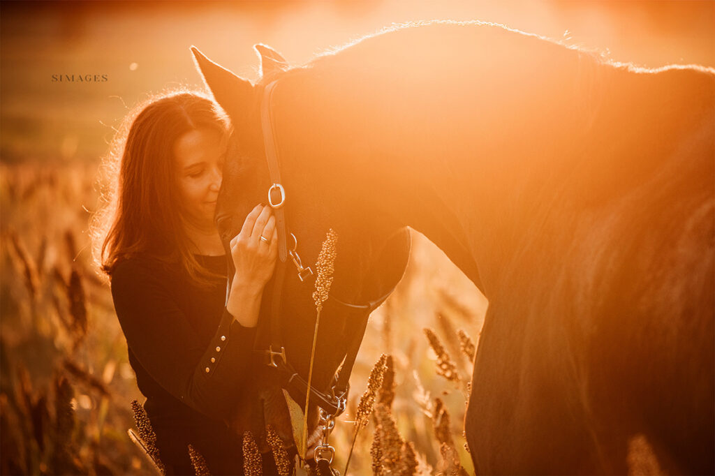 Pferd mit Reiterin im Sonnenlicht – stimmungsvolle Tierfotografie in der Steiermark