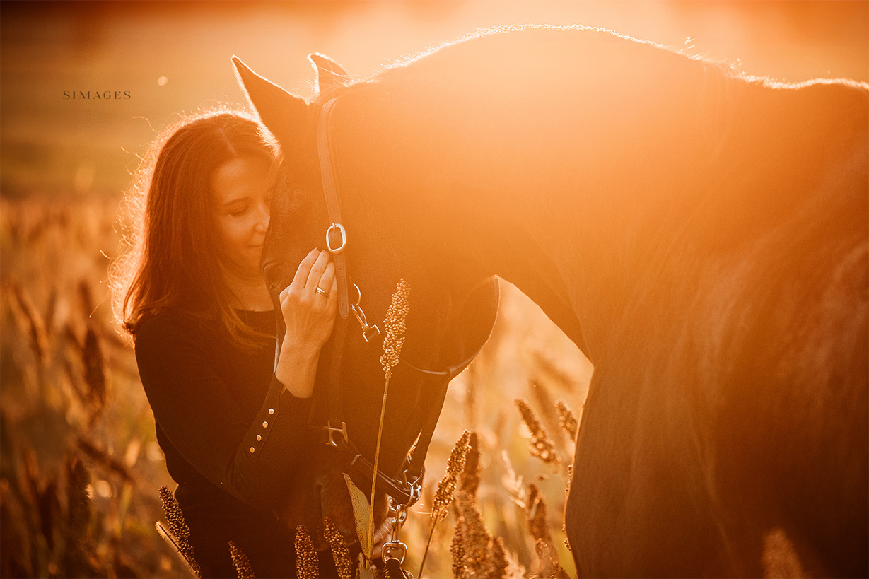 Pferd mit Reiterin im Sonnenlicht – stimmungsvolle Tierfotografie in der Steiermark