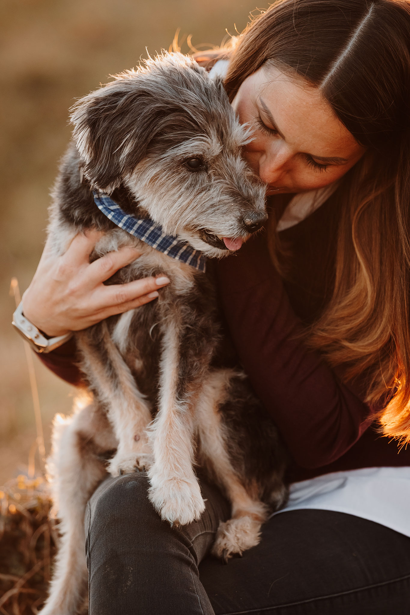 Hundefotograf Steiermark